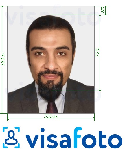 Eksempel bilde for UAE Visum på nett Emirates.com 300x369 piksler med riktig størrelse