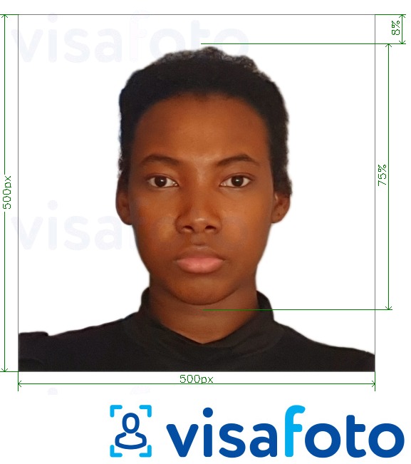 Eksempel bilde for Kamerun visum online 500x500 px med riktig størrelse