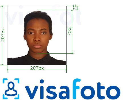 Eksempel bilde for Kenya visum 207x207 piksel med riktig størrelse