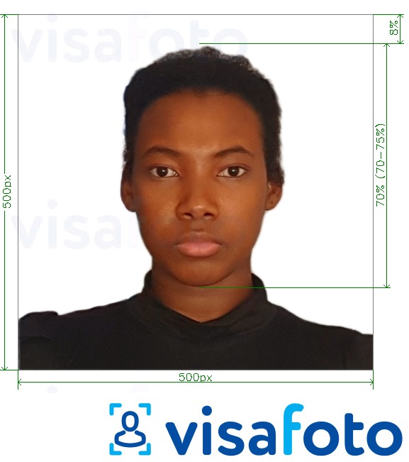 Eksempel bilde for Kenya e-visa online 500x500 piksler med riktig størrelse
