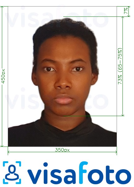Eksempel bilde for Nigeria online visum 200-450 piksler med riktig størrelse
